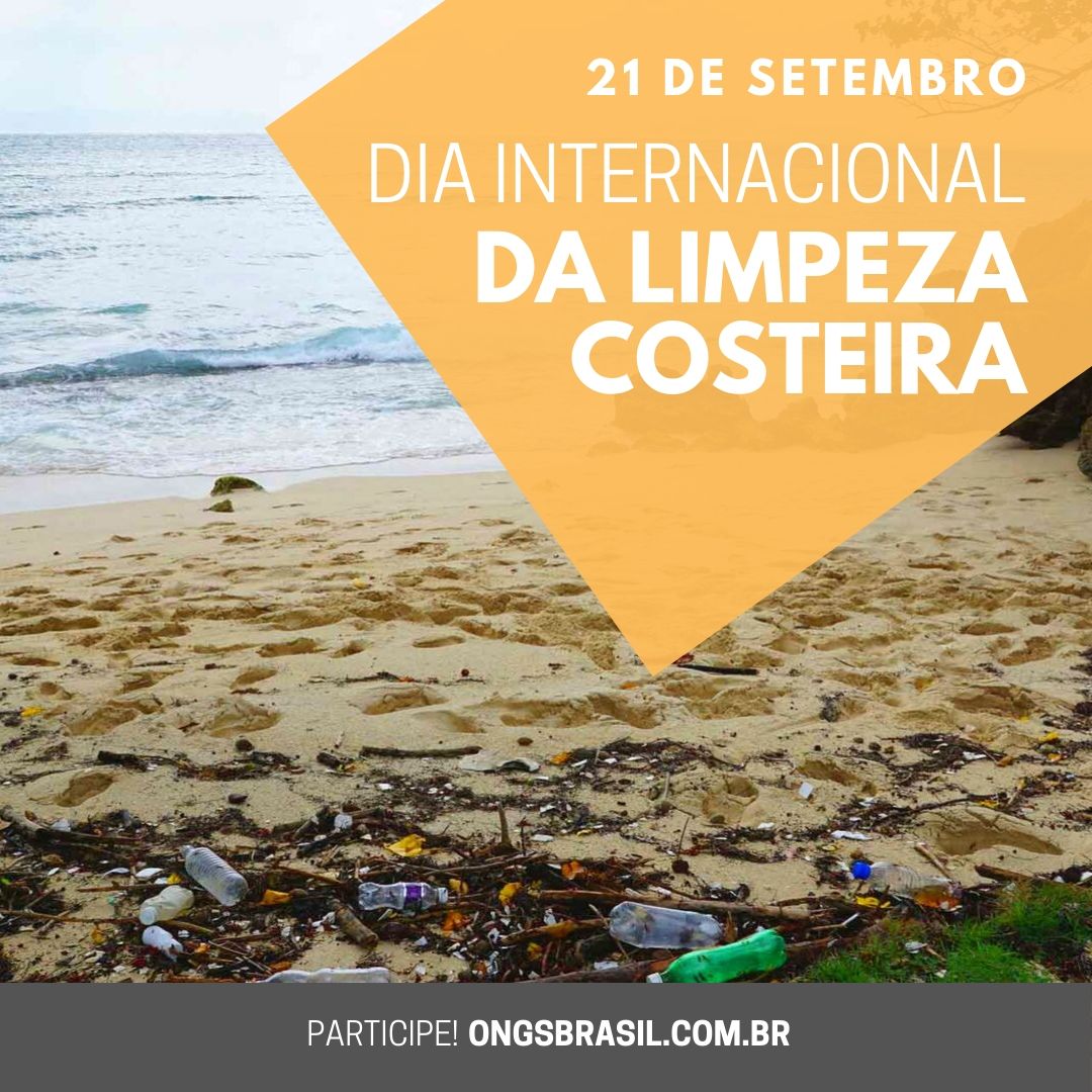 Dia Internacional da Limpeza Costeira