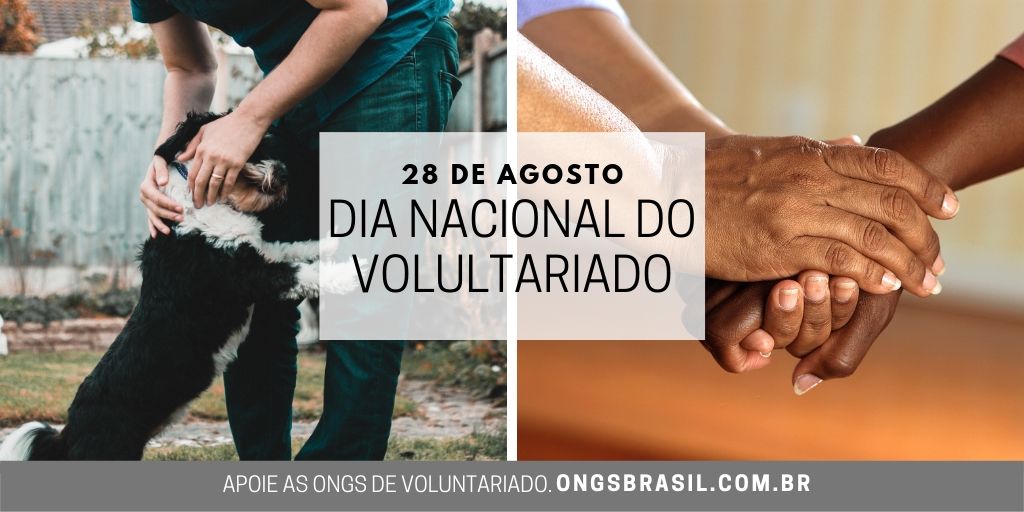 Dia Nacional do Voluntariado