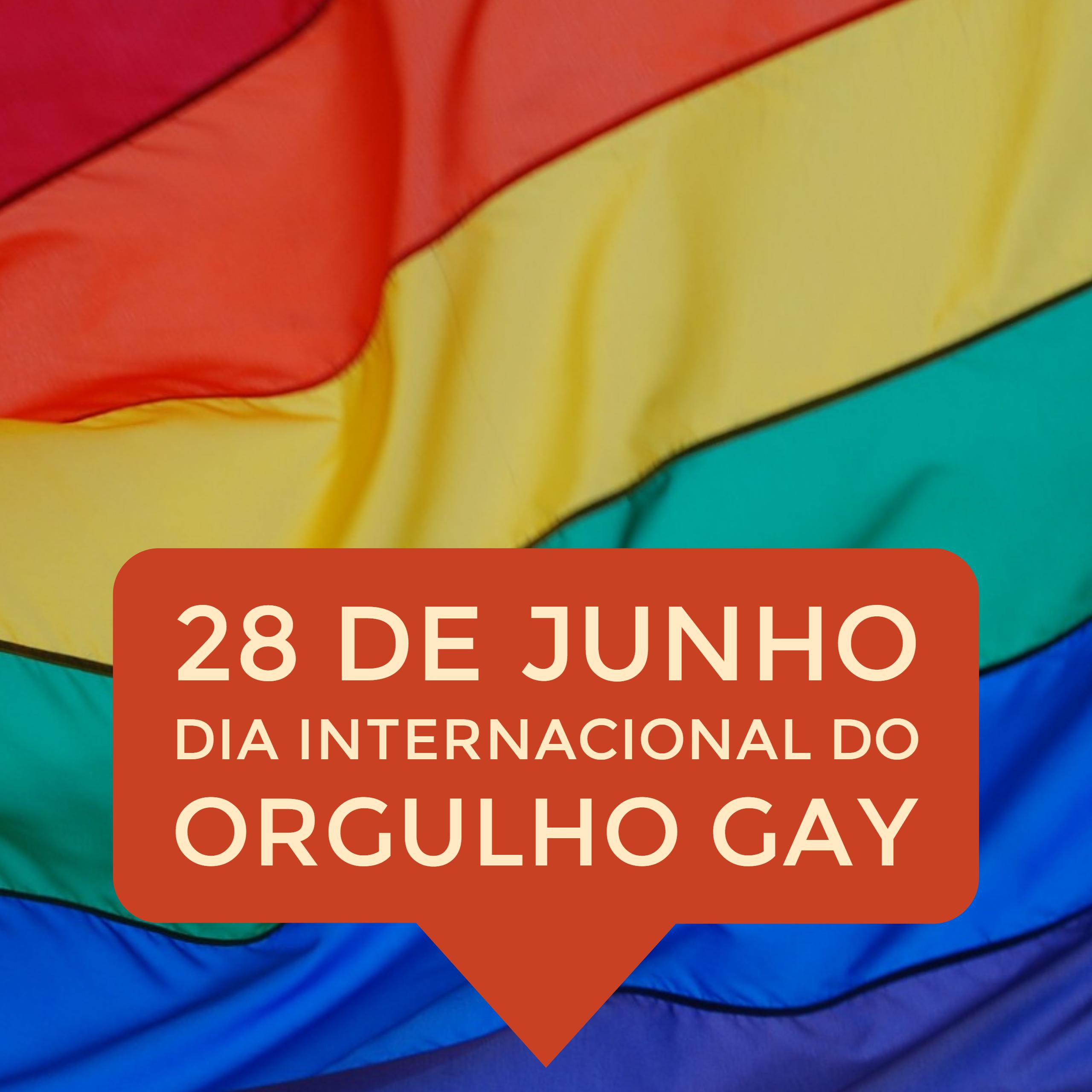 Dia Internacional do Orgulho Gay